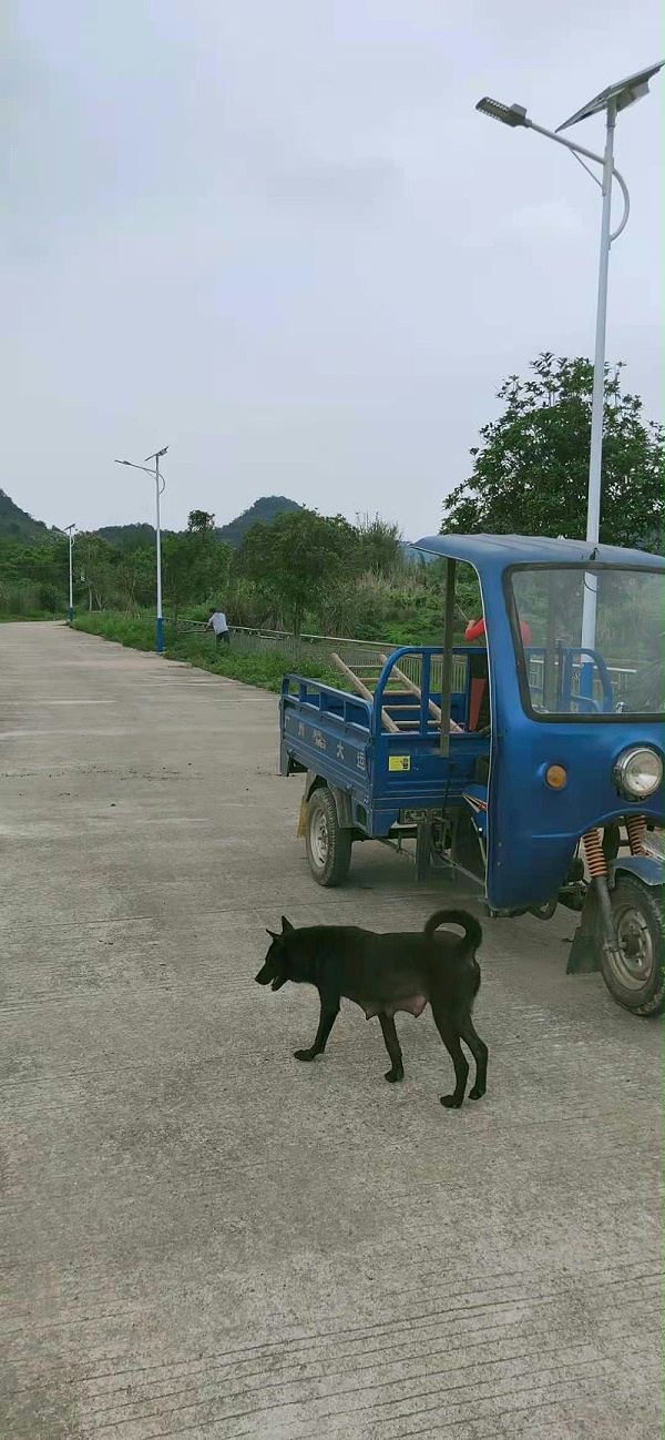 微信图片_202