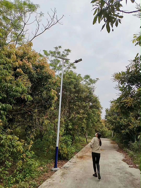 云南太阳能路灯_led太阳能路灯_乐竞·体育官方网站太阳能路灯厂家