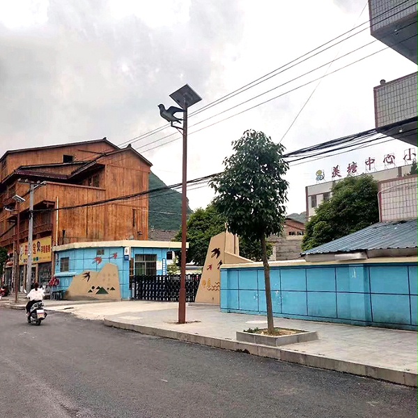 太阳能特色路灯 太阳能路灯价格 乐竞·体育官方网站太阳能灯饰有限公司