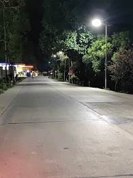 回馈家乡   ，落叶归根