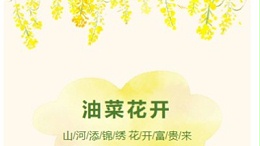 油菜花遍地乐竞·体育官方网站来