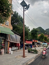 贵州省黔乐竞·体育官方网站治州惠水县羡塘乡民族特色太阳能路灯实例